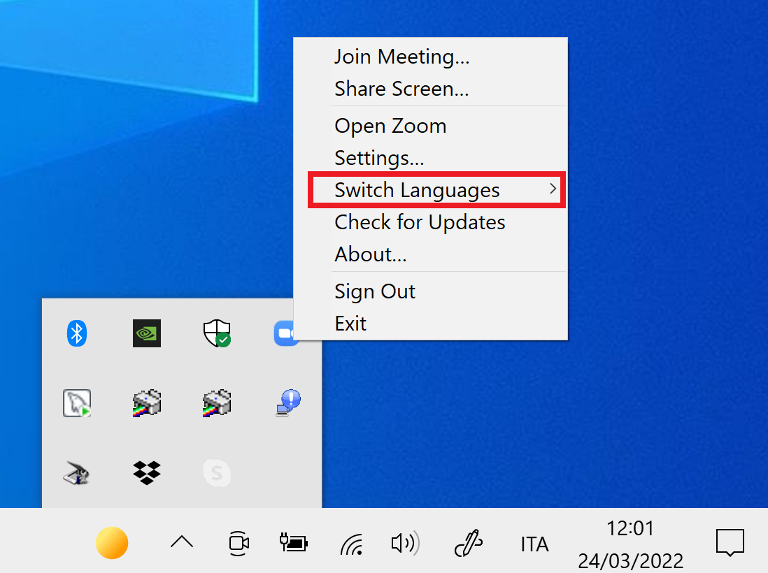Scelta lingua interfaccia utente Zoom